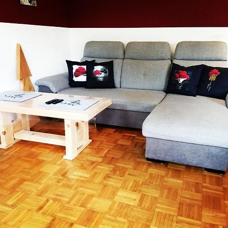 Ferienwohnung Villingen Exteriér fotografie